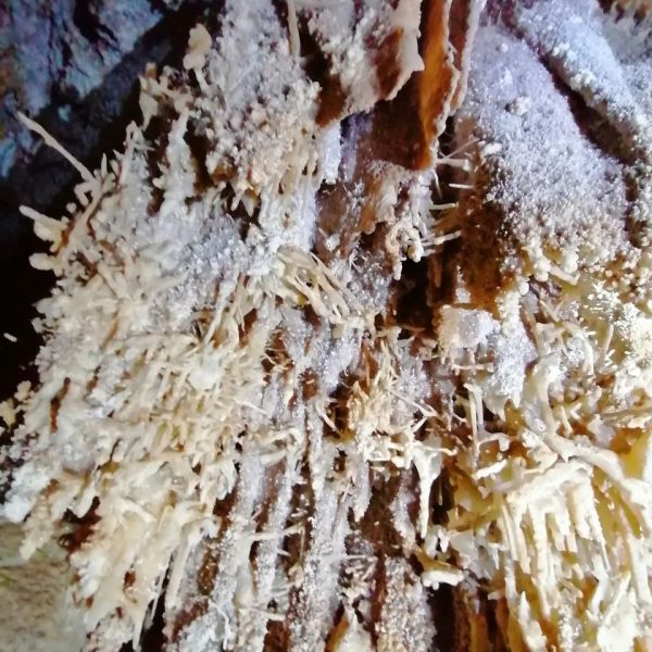 Escursione speleo a Dorgali - grotta dei cristalli